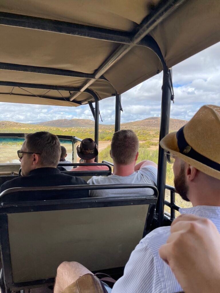 Safari